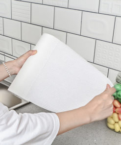 disposable kitchen towel (2)